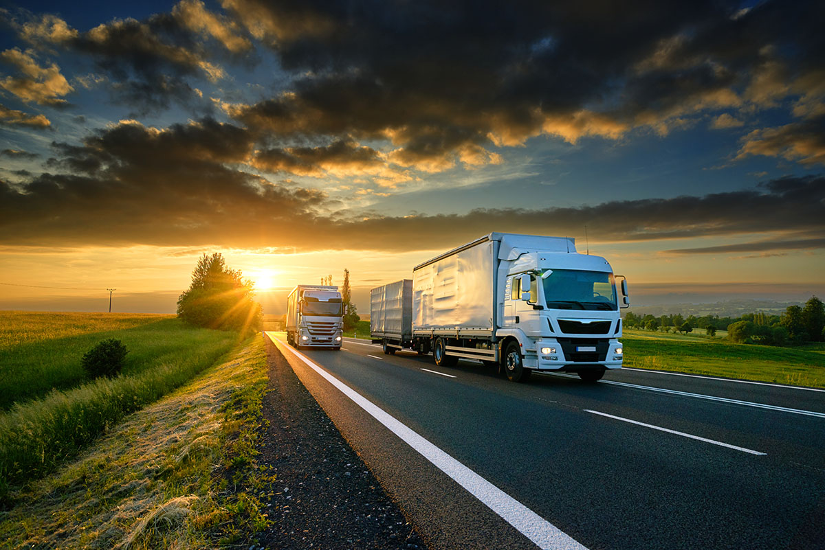 Overcoming Challenges: Common Problems Faced by Fleet Operators in the Logistics Transportation Industry